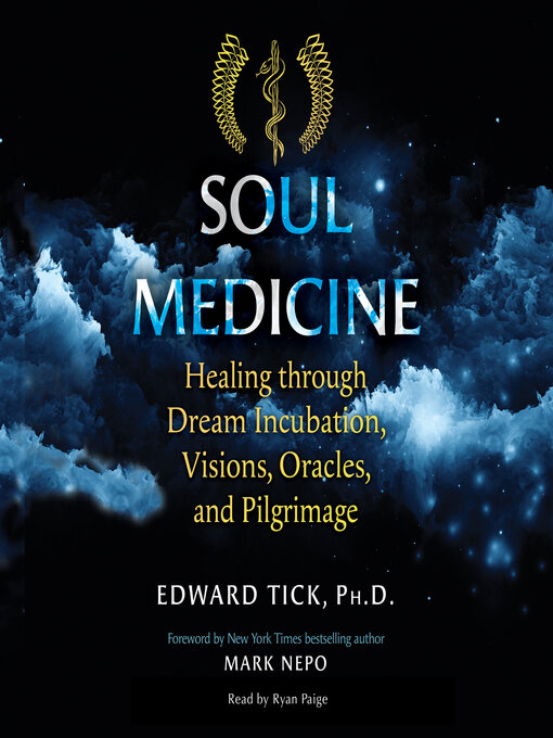 Cover image for Soul Medicine
